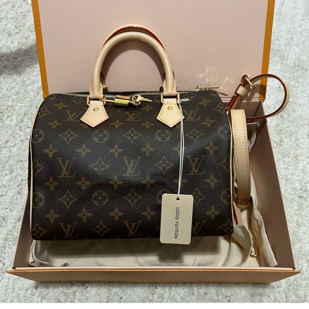 Louis Vuitton Brown and Tan Monogram Satchel size 25